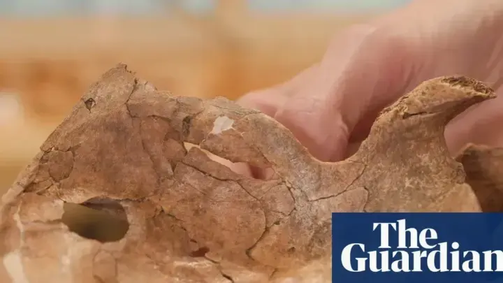 Ancient Wound in Iraqi Cave Hints at Prehistoric Violence