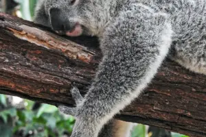 Is There A Best Sleeping Position For Your Health?