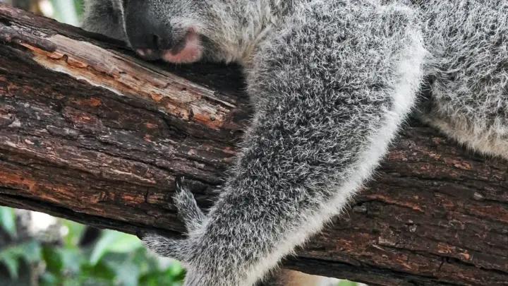 Is There A Best Sleeping Position For Your Health?