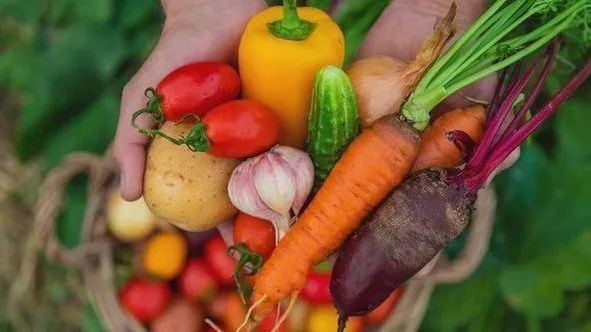Eating Your Way to a Youthful Glow