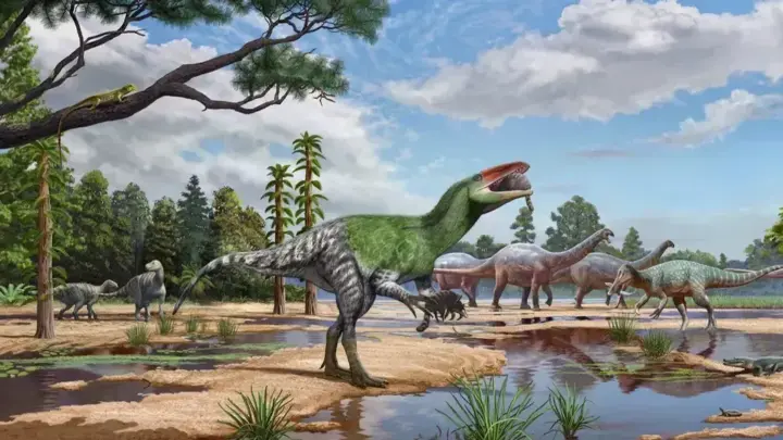 Forgotten Fossil Reveals Feathery Predator That Would Have Hunted Humans