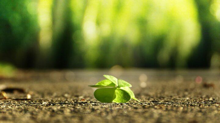 Part 3: Defeating Self-Doubt, Reasons to Believe in Yourself
