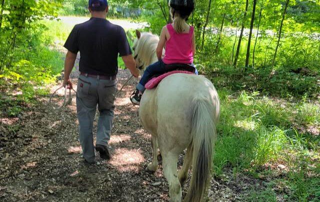 Healing with Horses: Taking ride can be path to wellness –