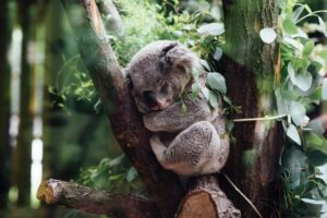 Magnesium Can Reduce Stress And Help You Sleep
