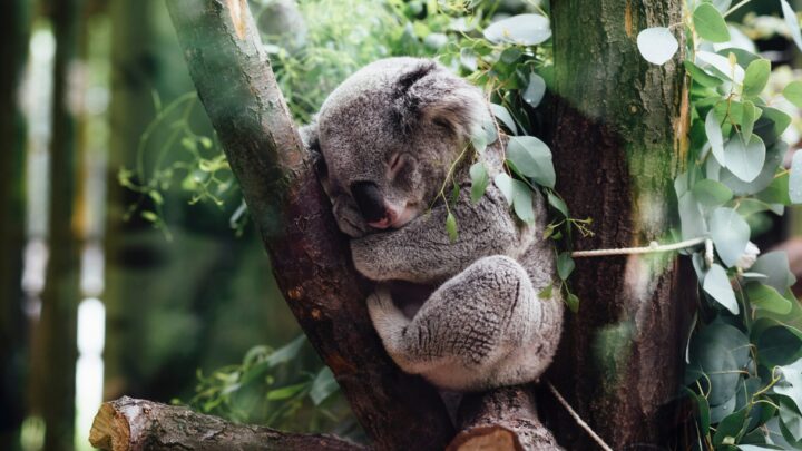 Magnesium Can Reduce Stress And Help You Sleep